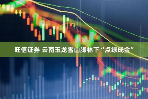 旺信证券 云南玉龙雪山脚林下“点绿成金”