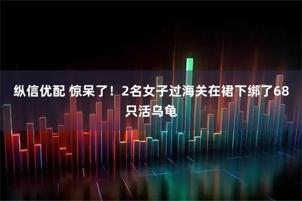 纵信优配 惊呆了！2名女子过海关在裙下绑了68只活乌龟