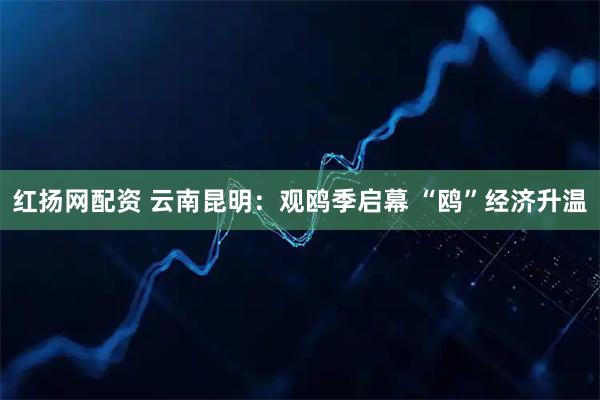 红扬网配资 云南昆明：观鸥季启幕 “鸥”经济升温
